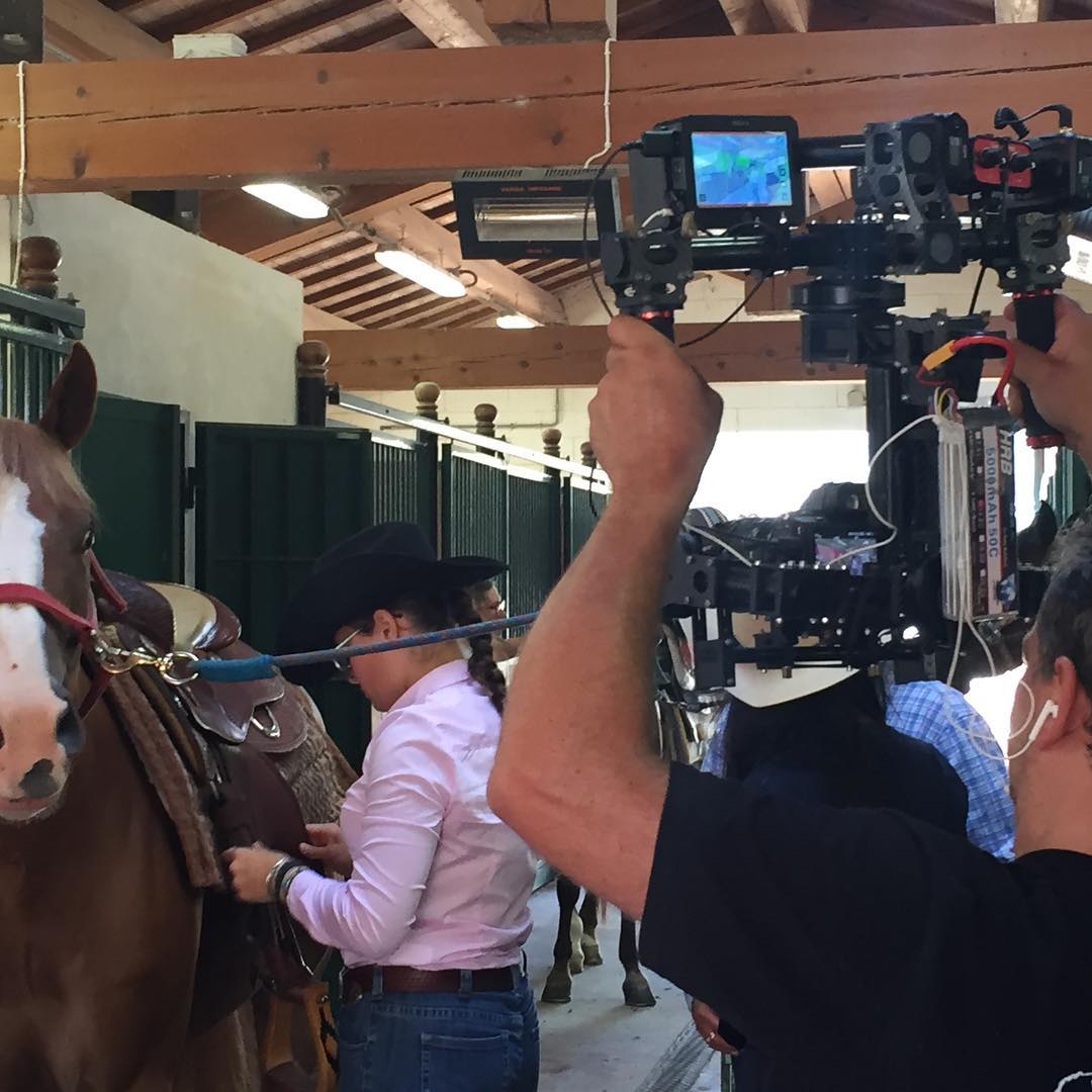 Centro Ippico BM FARM added a new... - Centro Ippico BM FARM