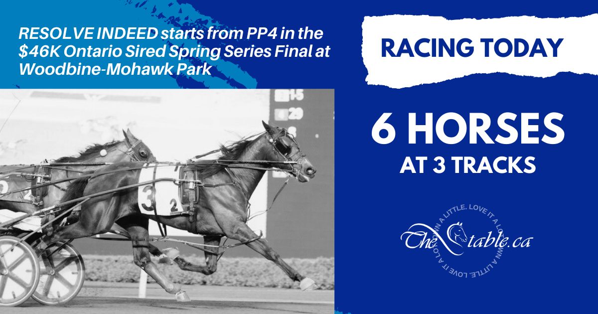 The Stable - A Saturday six-pack on tap, racing at The... | Facebook