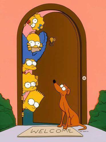 albergue-luisa-sabias-que-el-perro-de-los-simpson-es