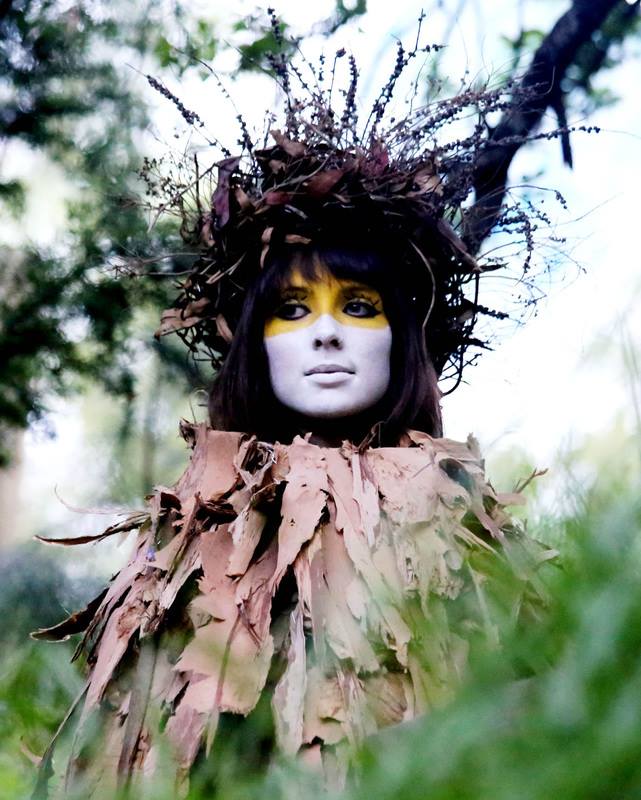 The Ferguson Tree – the tallest tree... - Scenes on the Yarra