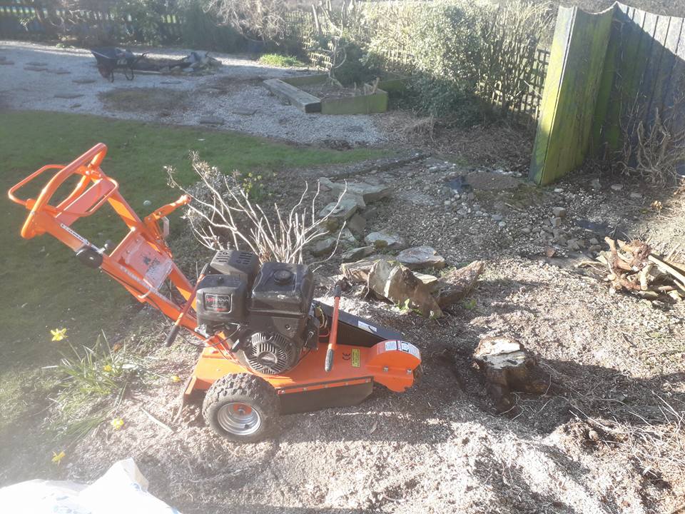 Sharp Edge Tree Surgery & Chain Saw Repairs | Holsworthy