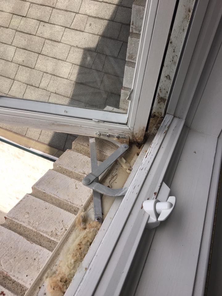 Window Rescue LLC