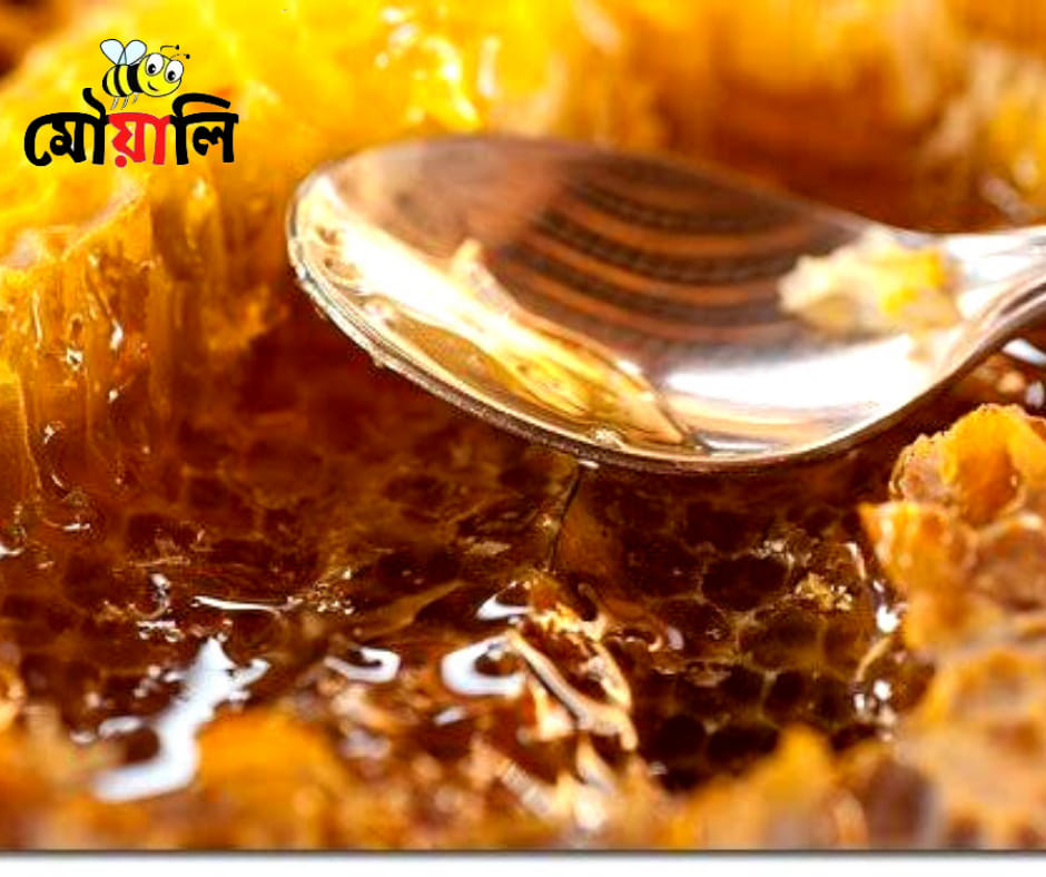 মৌয়ালি - Home
