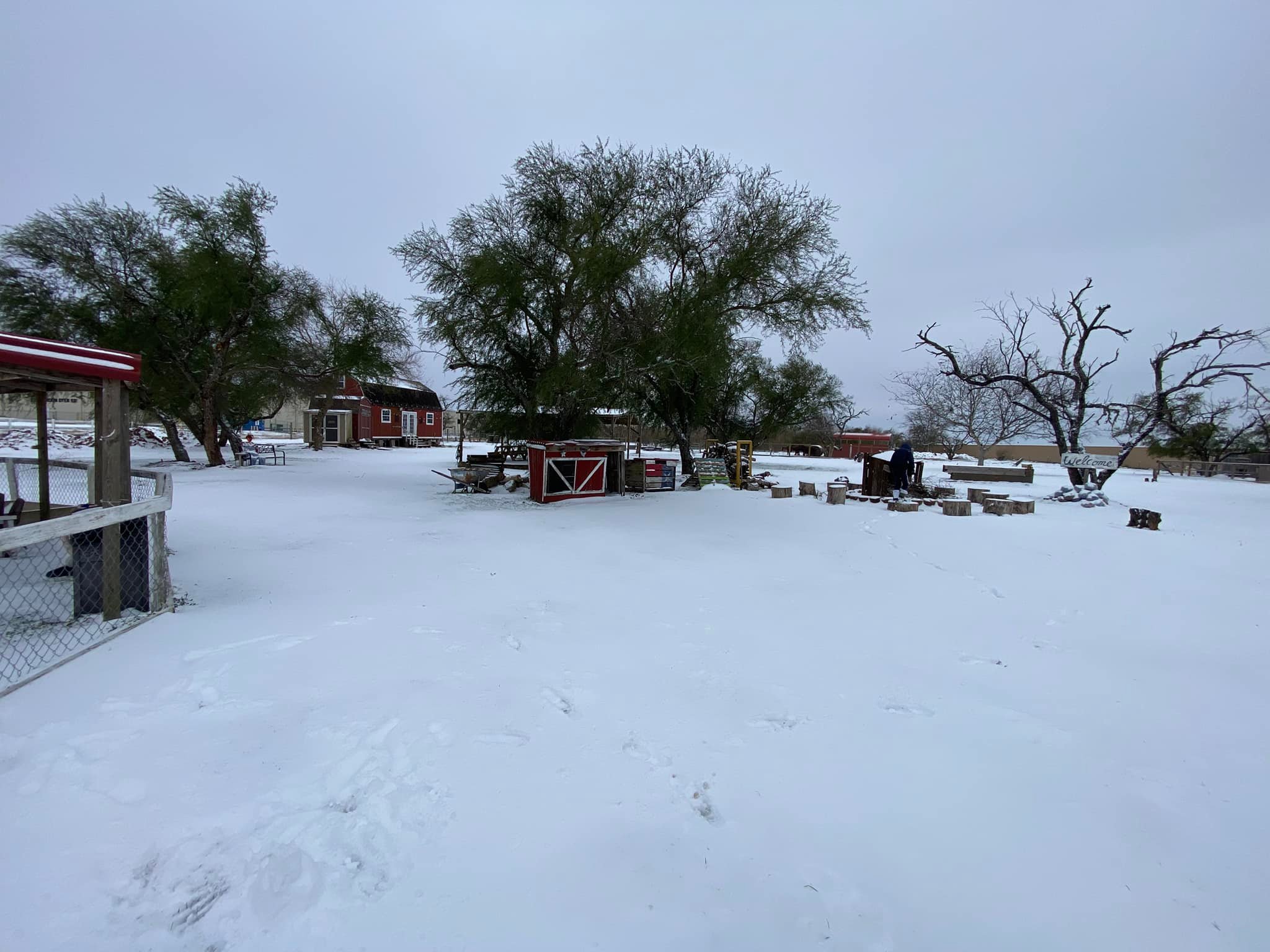 Toy Story Ranch