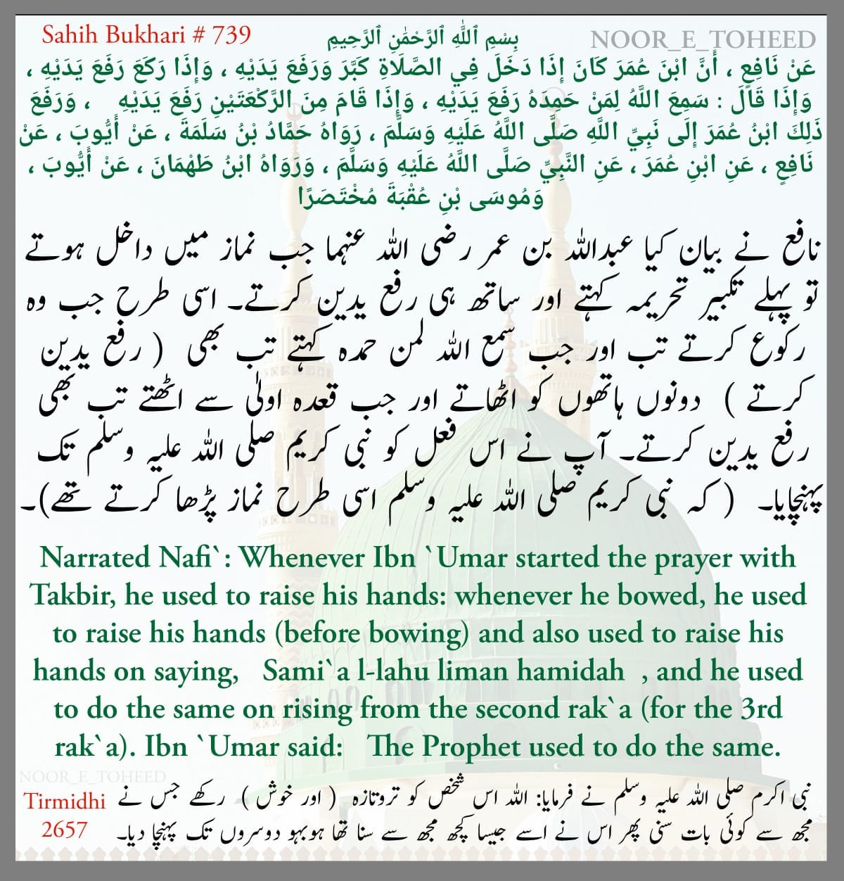 Noor_E_Toheed - Sahih Bukhari # 739 #islam #naat #roza... | Facebook