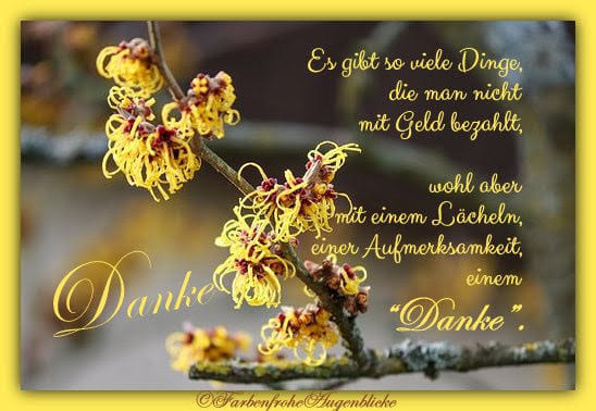 In Diesem Sinne Wunsche