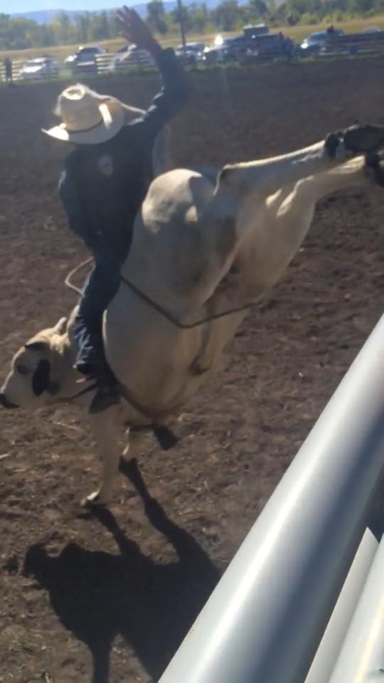 L.C. Rodeo Company