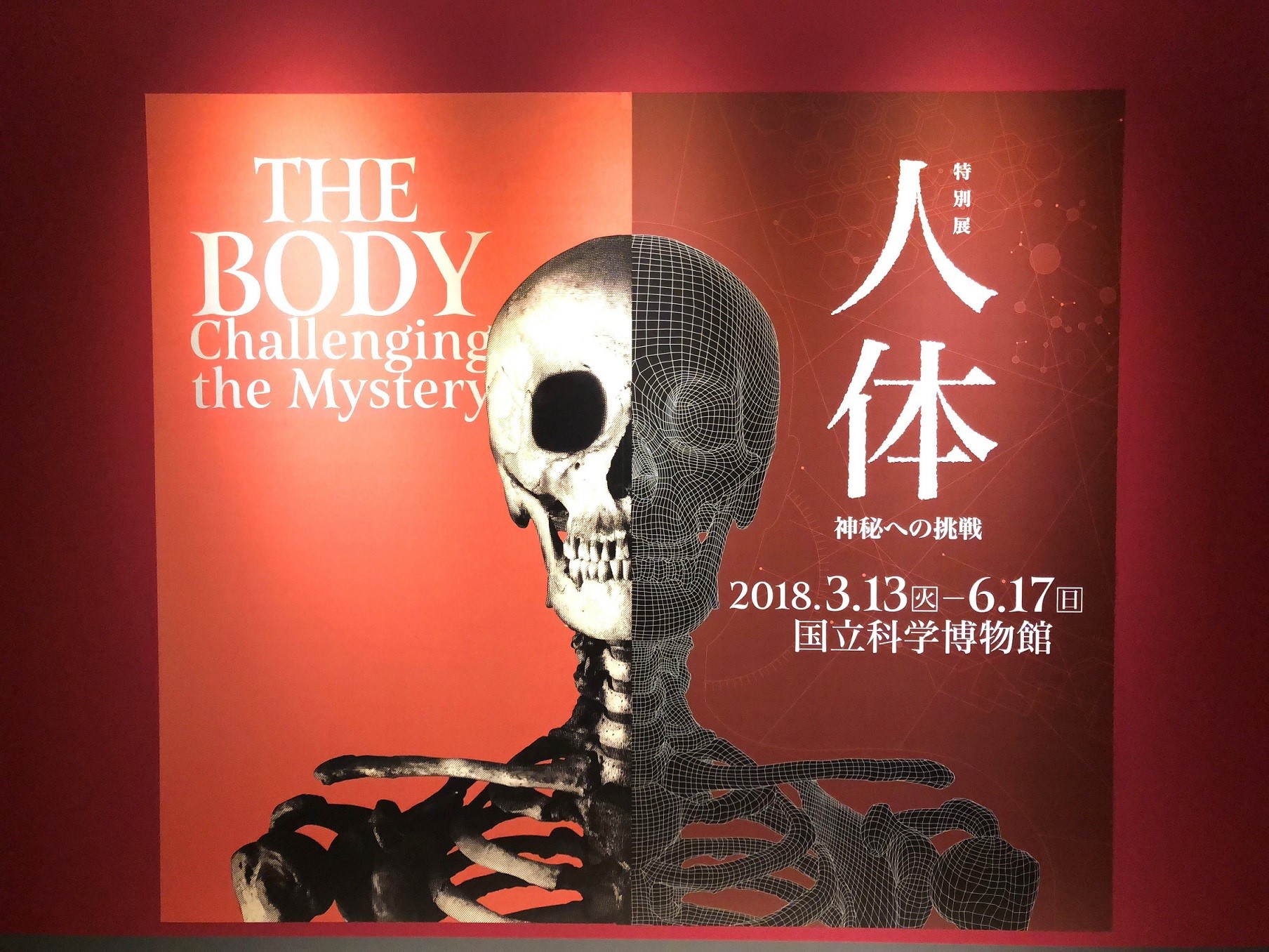 いよいよ来週13日（火）に開幕を控えた特別展「人体 ―神秘への挑戦