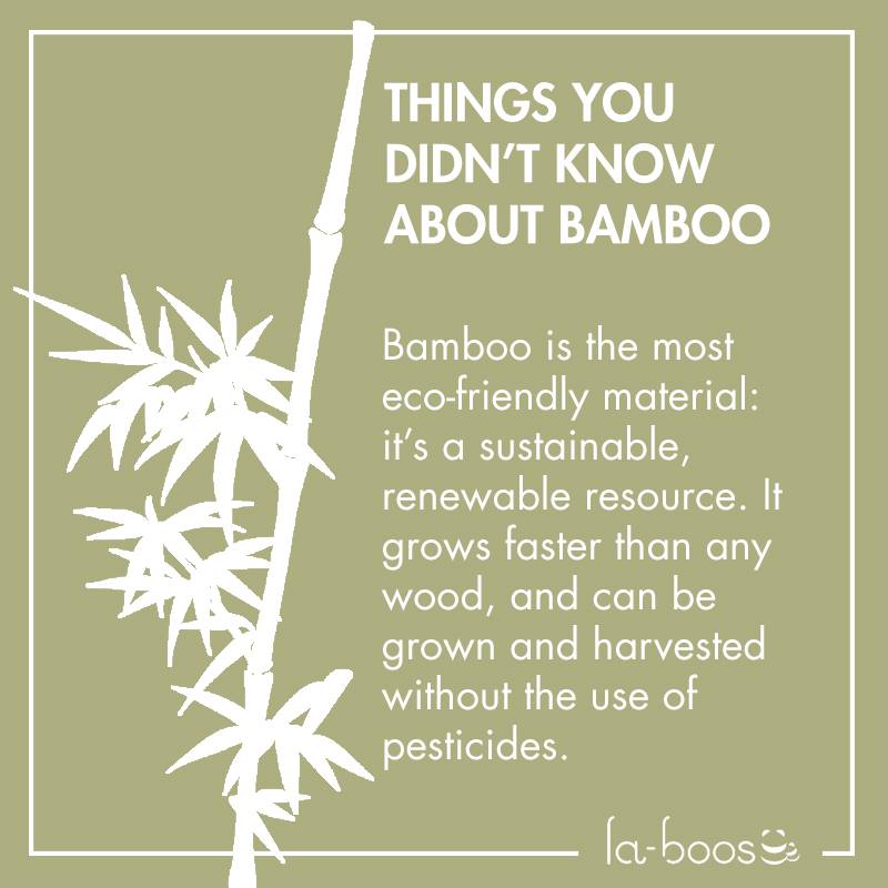 Laboos - Why you need to use bamboo-products in your home, here’s a ...