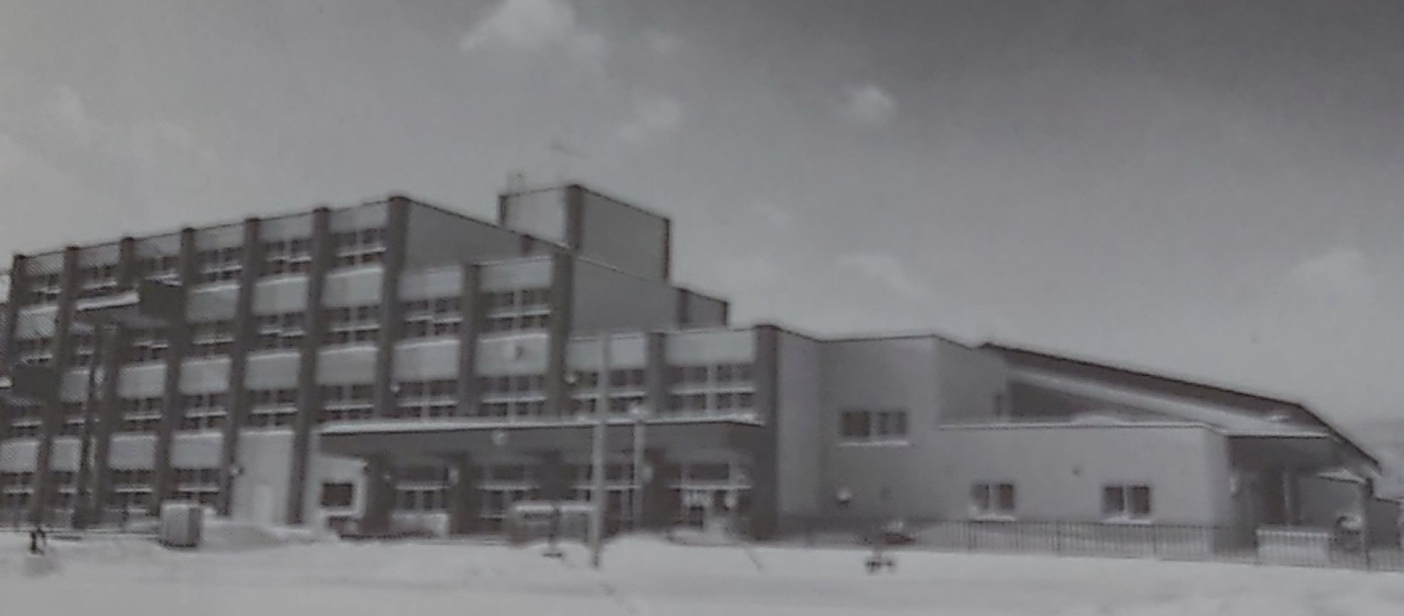 八 軒 西 小学校