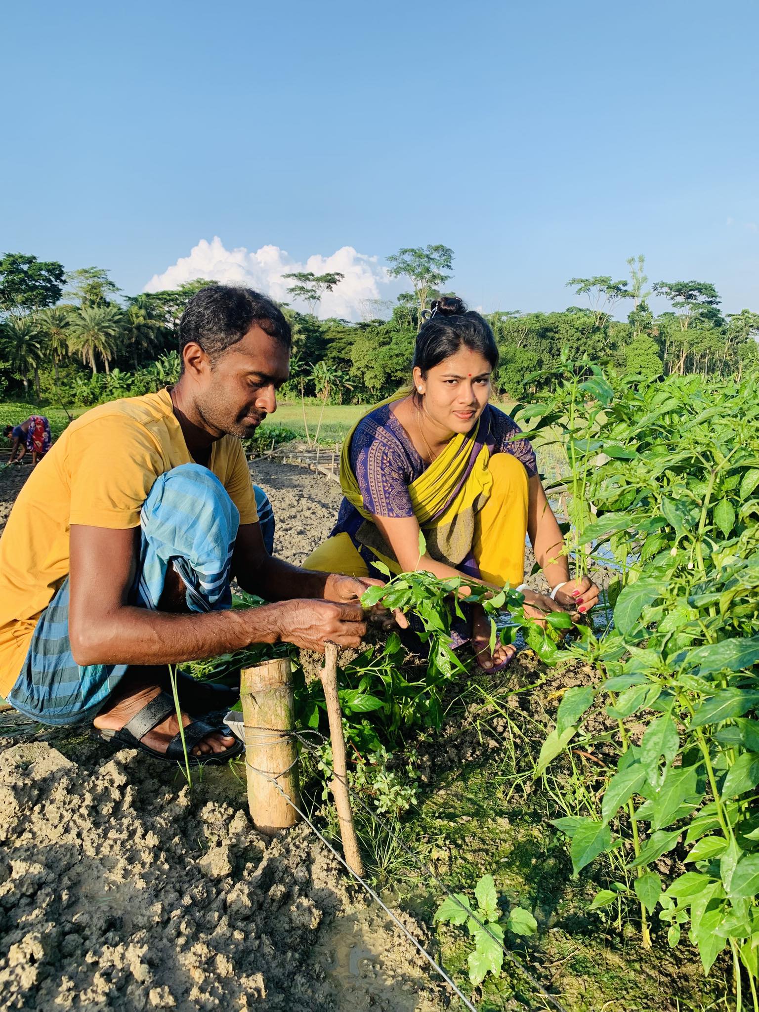 Ringku - সংসার ধর্ম বড় ধর্ম, দুজনে মিলে গড়ে তুলবো স্বর্গ রাজ‍্য।🫶 ...