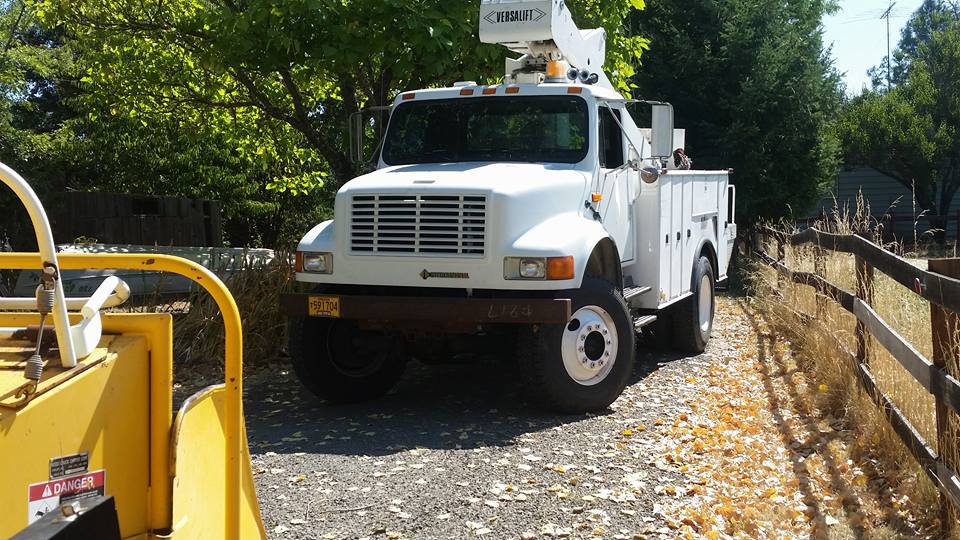 Rogue Valley Tree Care | Medford OR