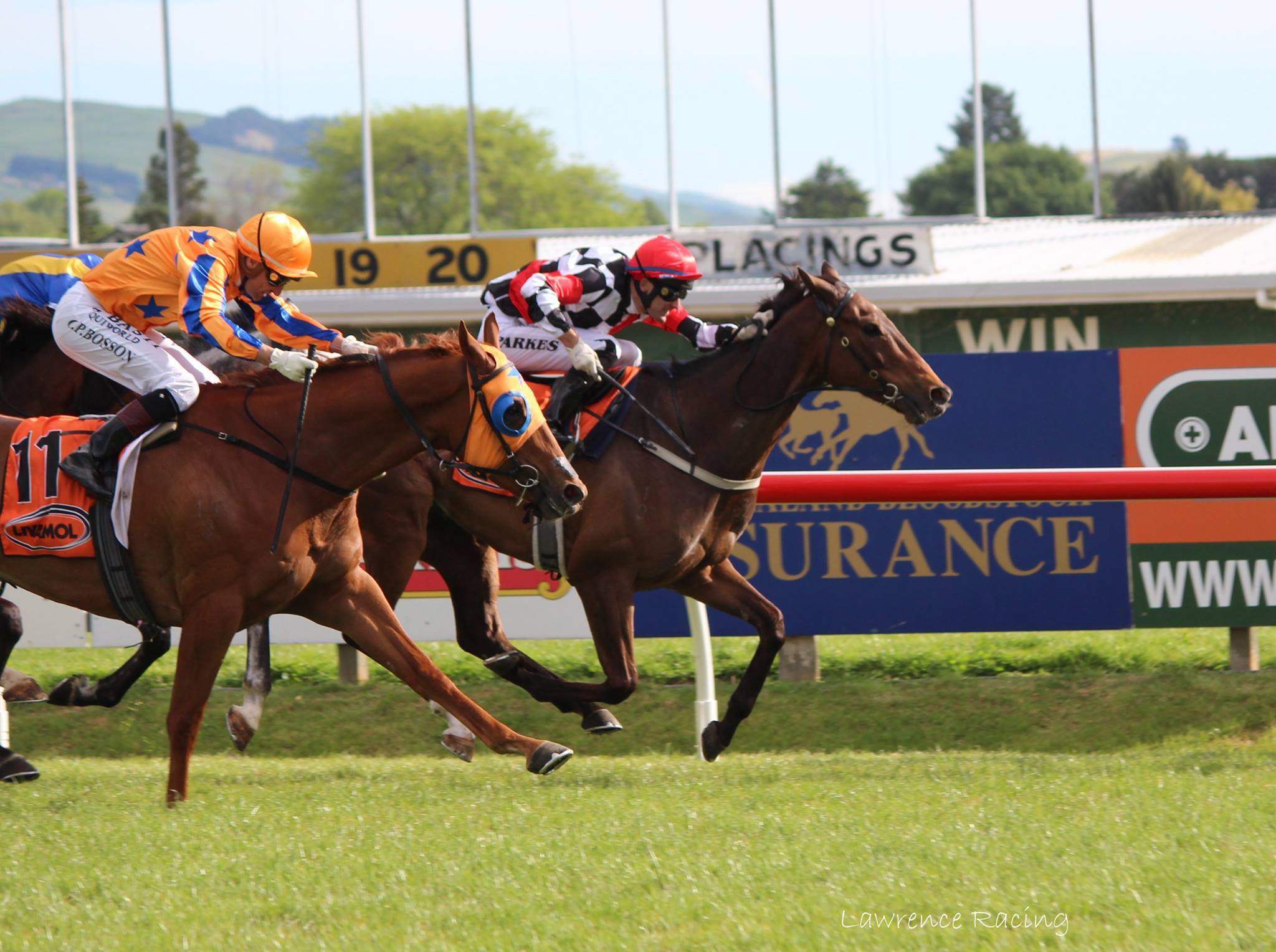 TE RAPA today TE RAPA holds centre... - The Racing Website | Facebook