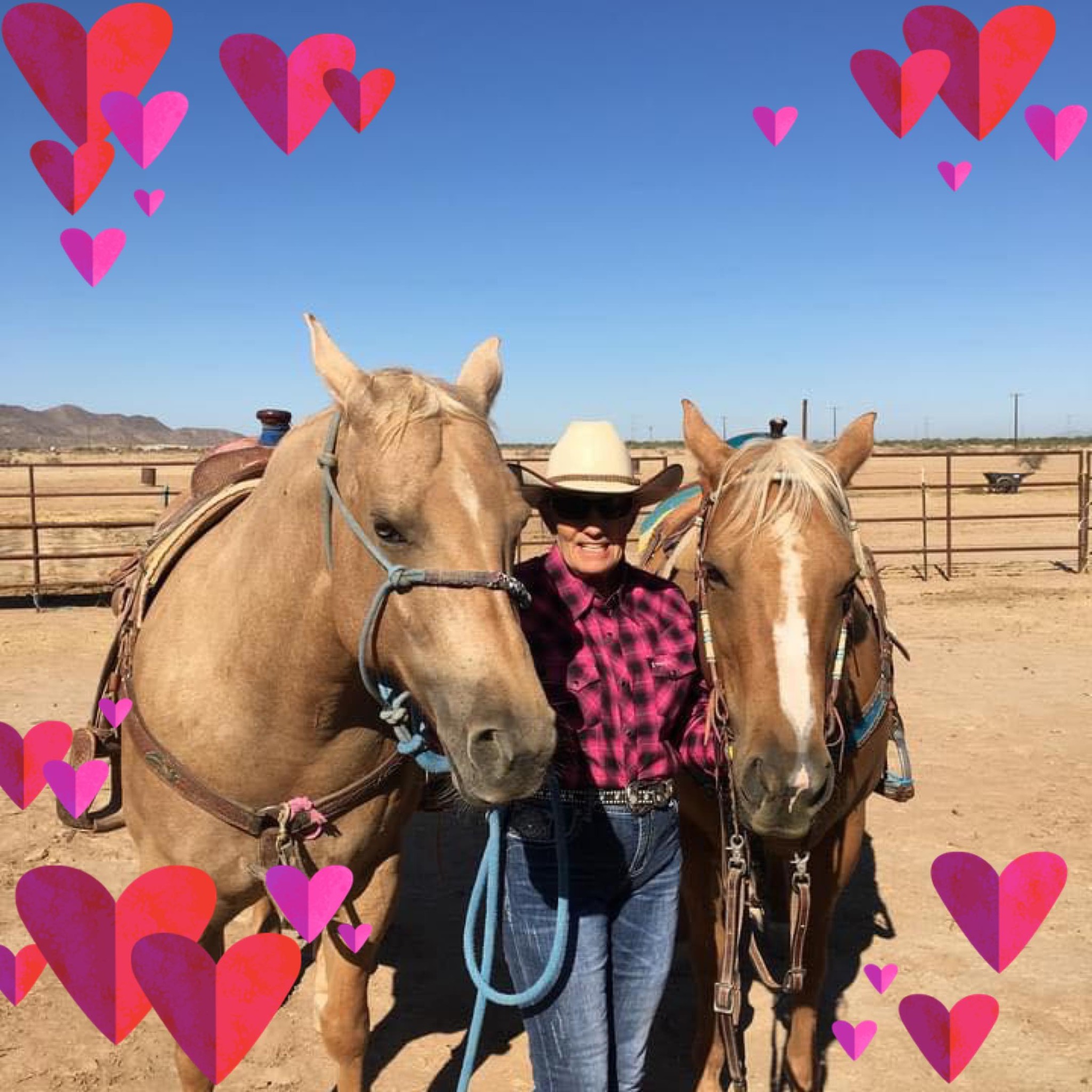 All Things Breakaway - Facebook Group | DIY Roping dummy sled ideas ...