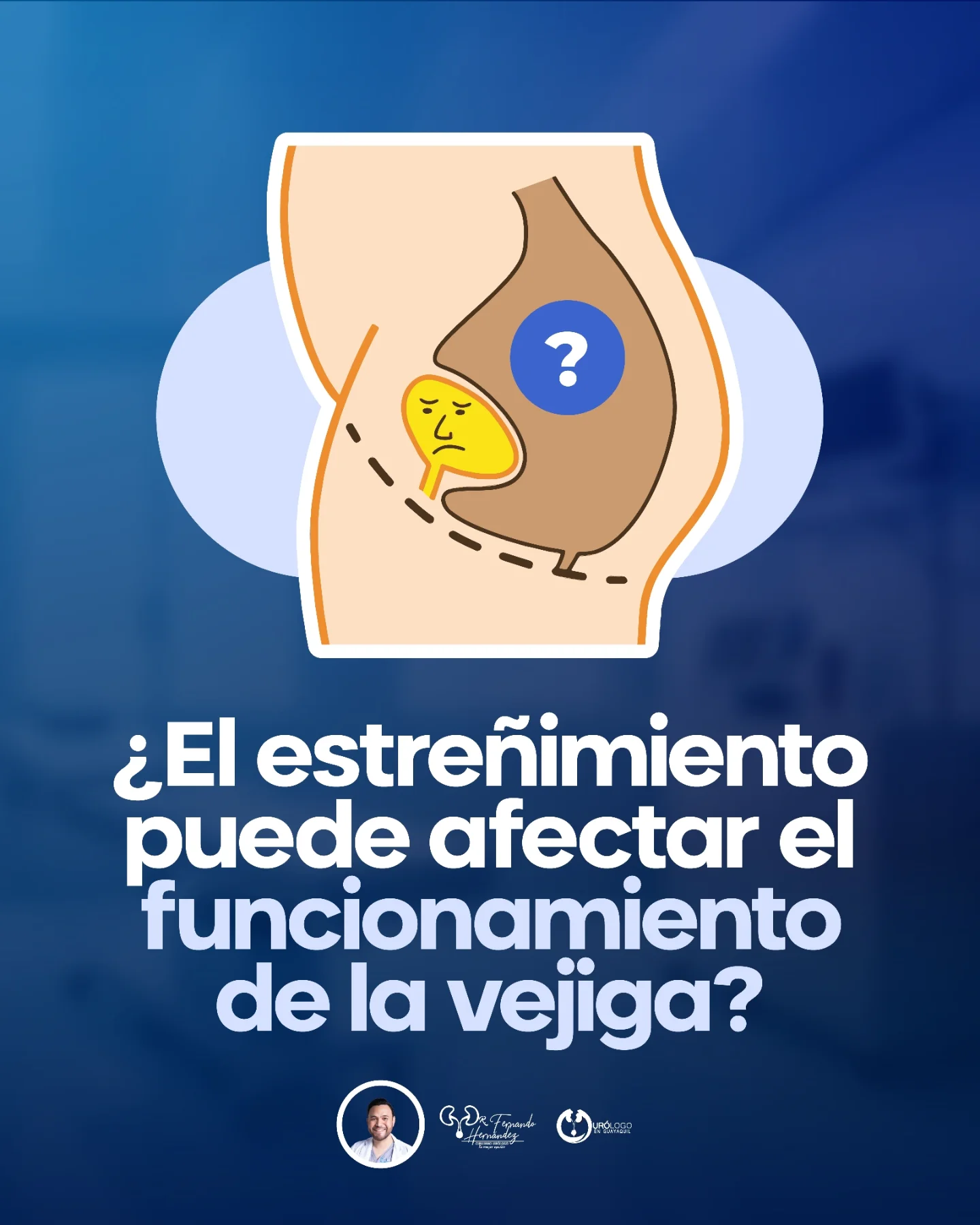 l carnitina beneficios sexuales en hombres 30 Cap HIGH POWER Estas son algunas vitaminas que