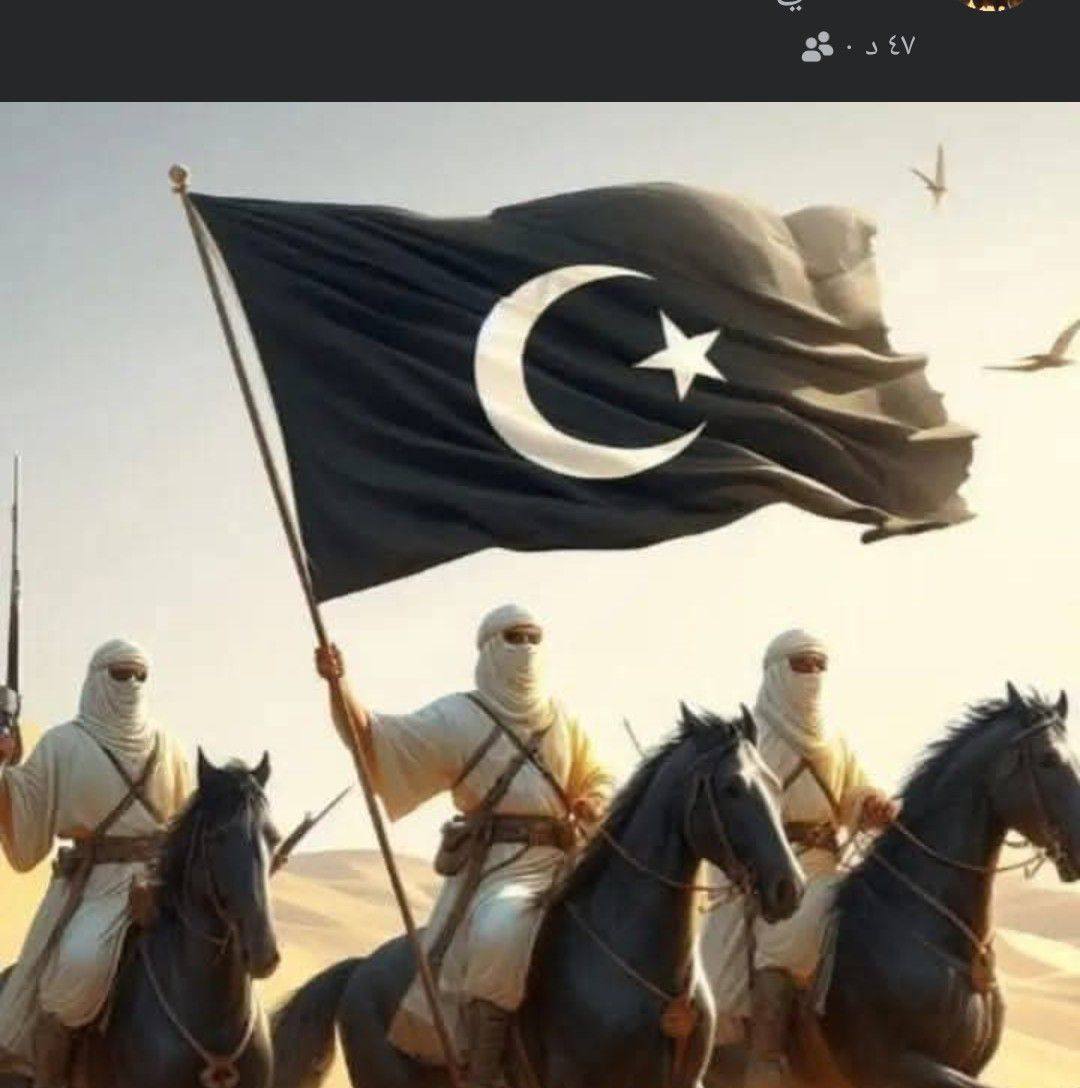 شاهين برقة