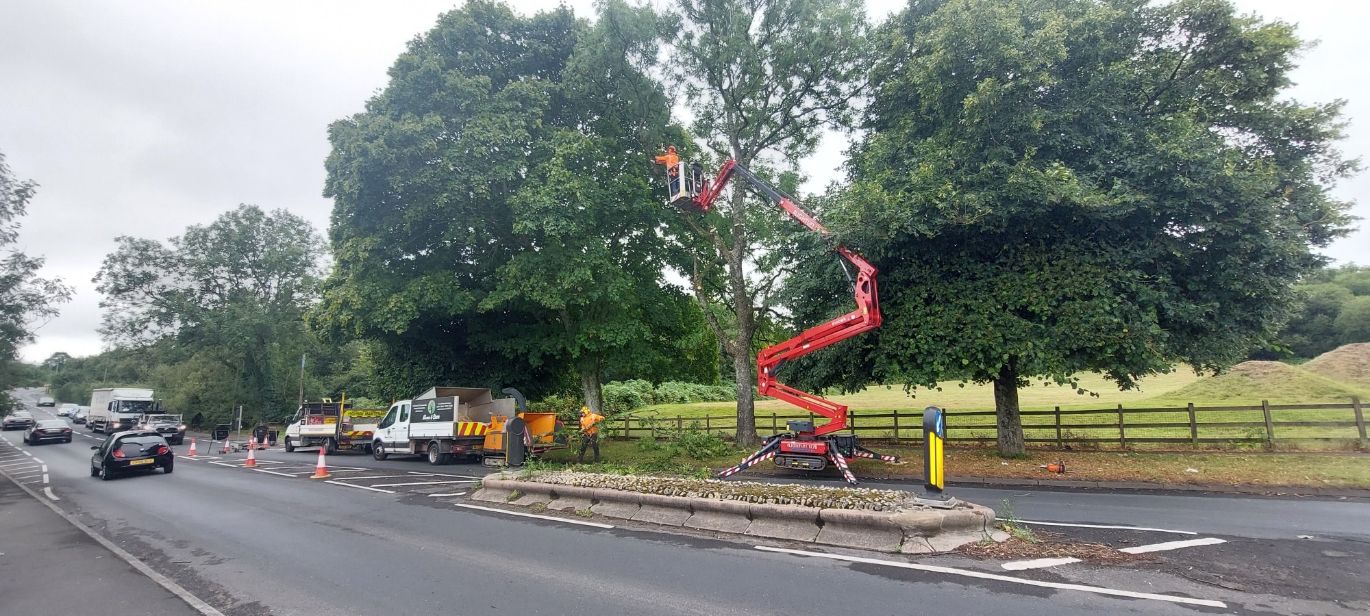 Big effort today from... - Mence & Clark Tree Services Ltd