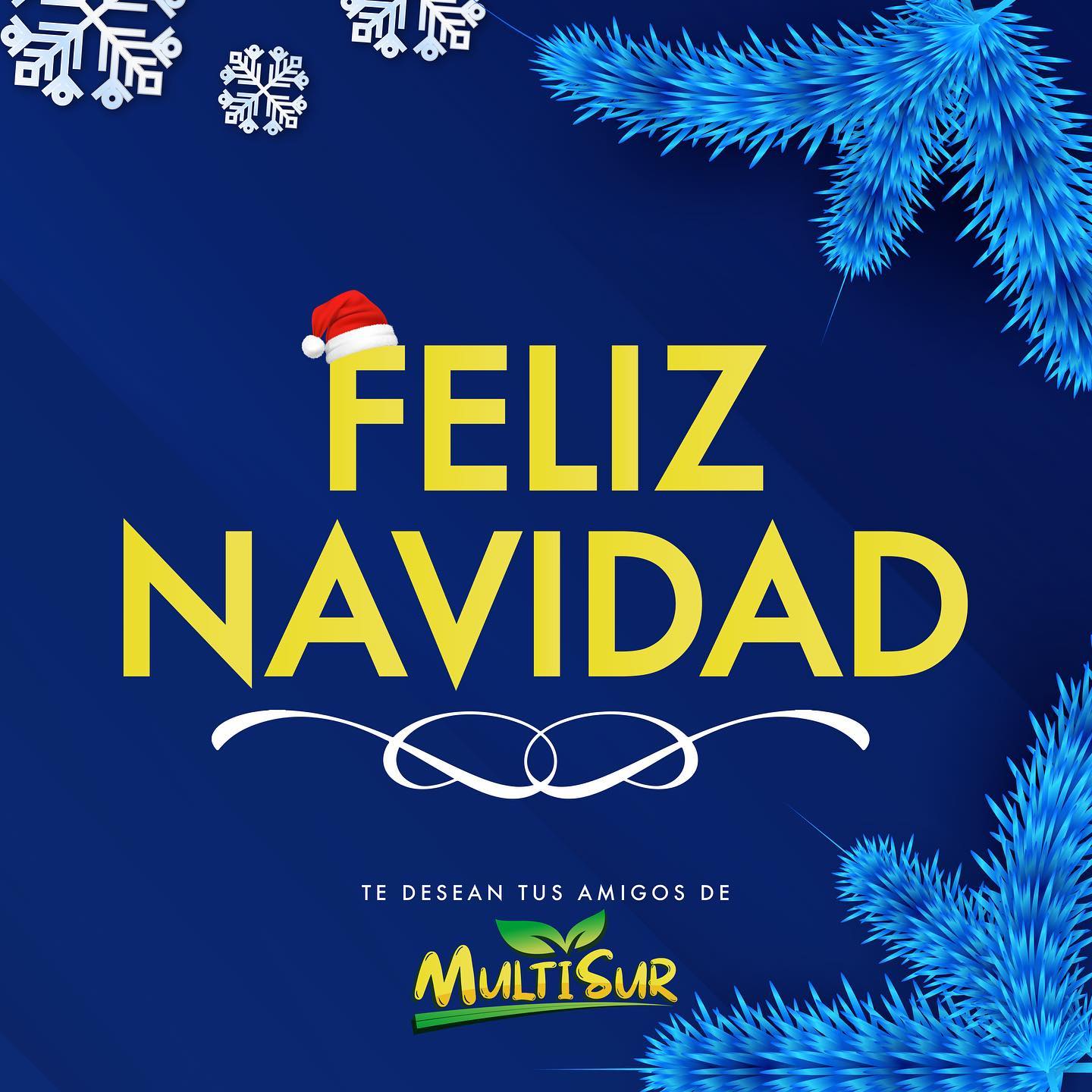 Multisur Market | Valdivia