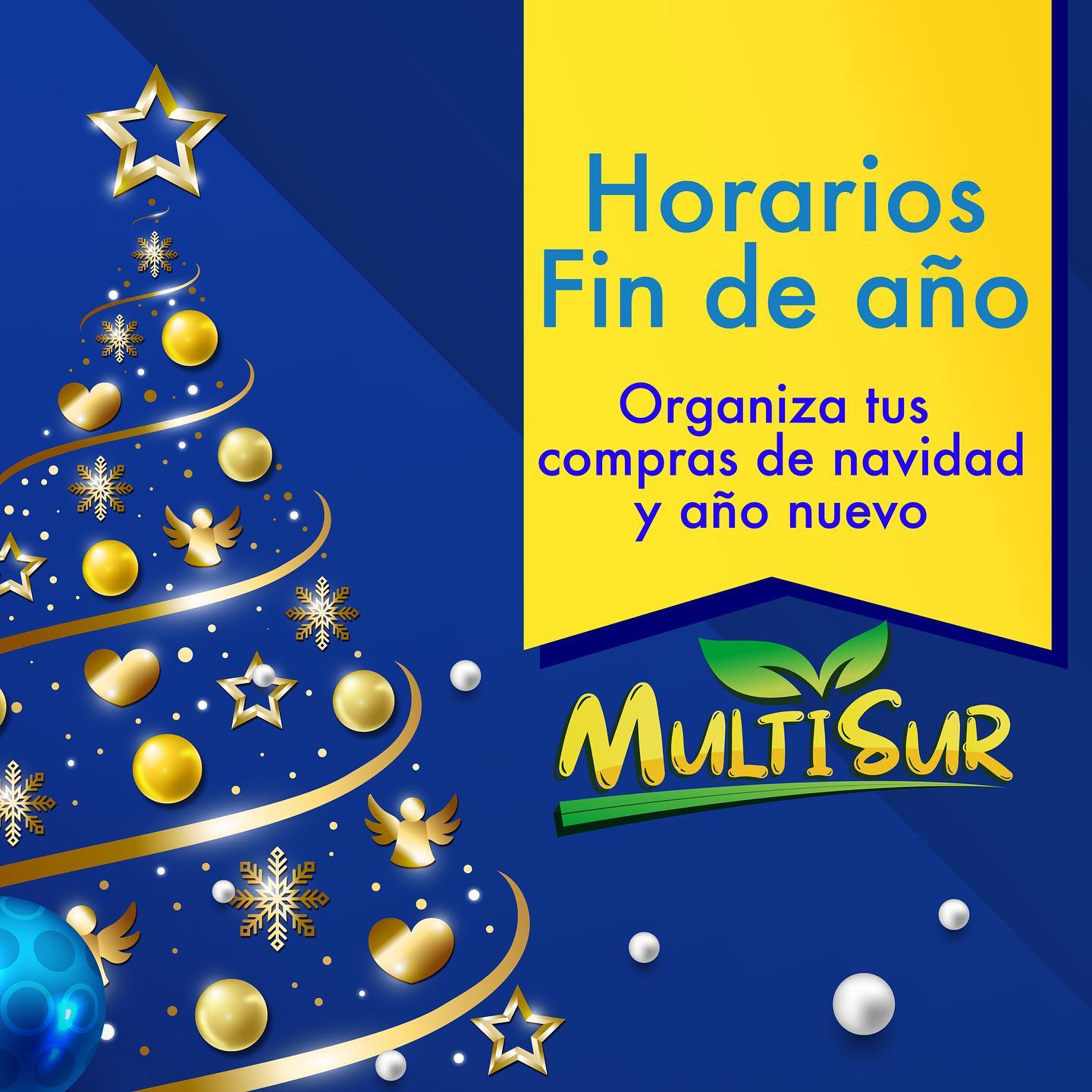 Multisur Market | Valdivia