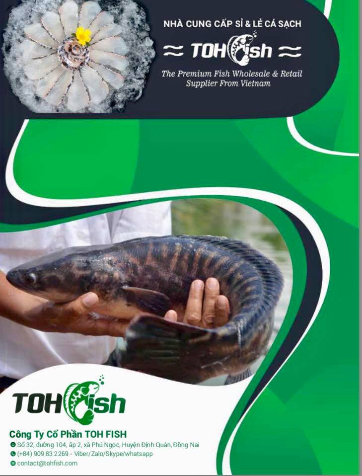 TOH fish - CÁ LÓC BÔNG SẠCH - 🌐tohfish.com 🌐calocbongsach.com ☎️0909 83 ...