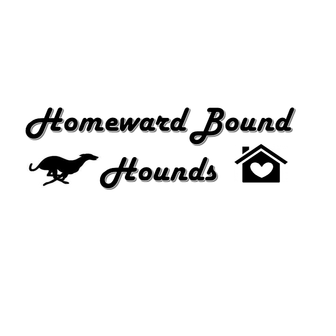 Foster carer needed Abby, female... - Homeward Bound Hounds | Facebook
