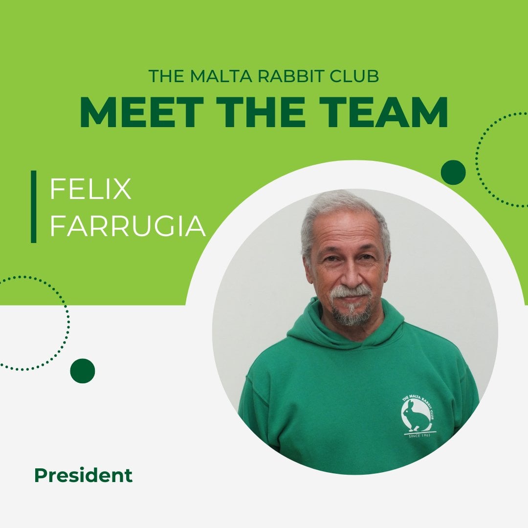 The Malta Rabbit Club... - The Malta Rabbit Club - Since 1963