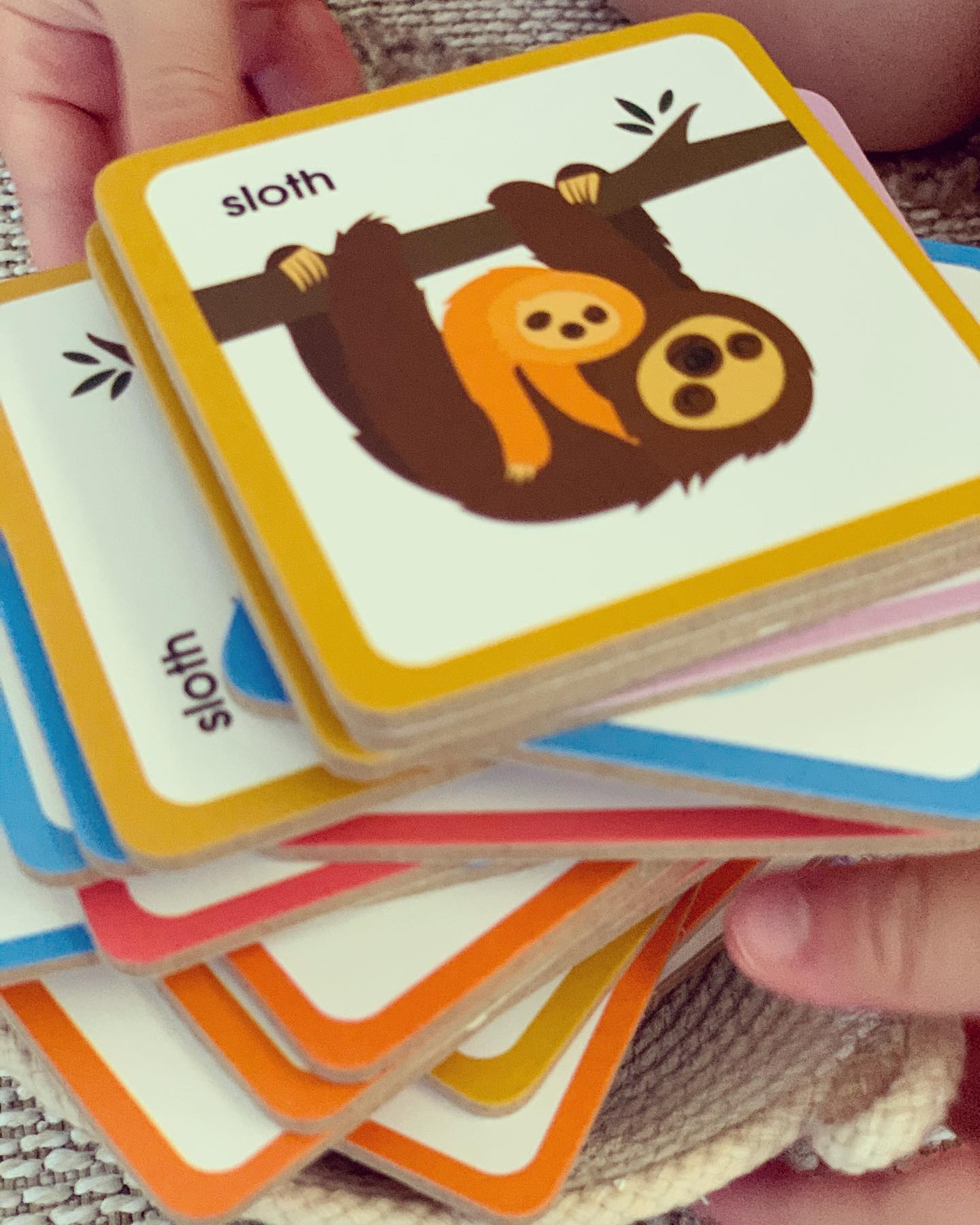 Lexi Hub - A fun way to develop memory.. use the front...