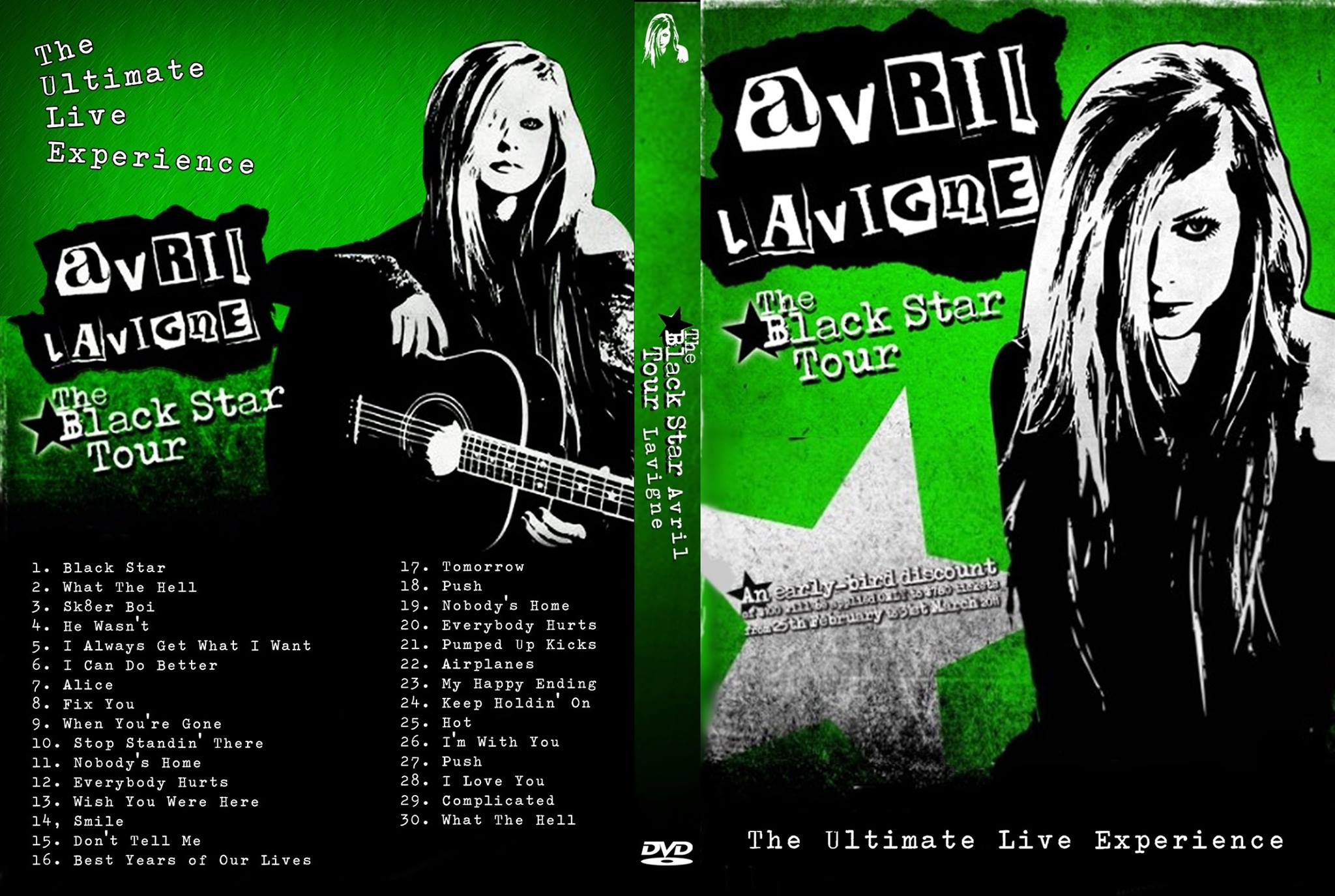 Avril lavigne's music tours overview