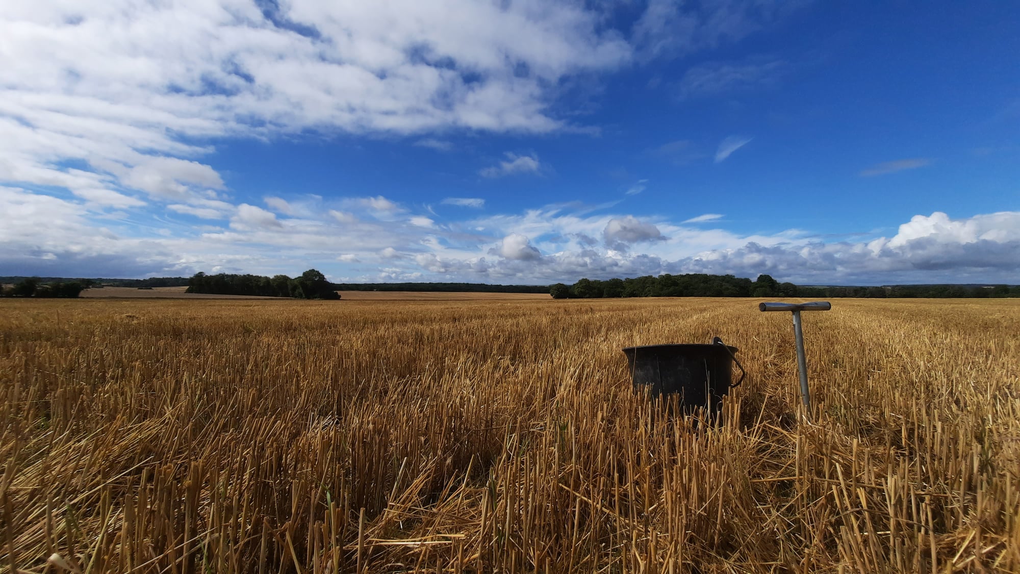 SADEF Agronomie et Environnement | Aspach-le-Bas
