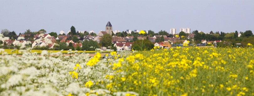 Briis Officiel - 🌿 La grande concertation sur les abords... | Facebook