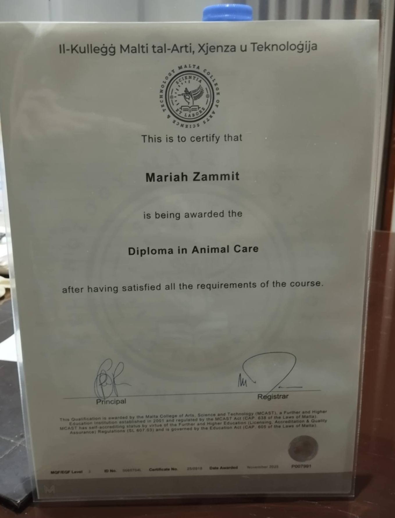 The Malta Rabbit Club... - The Malta Rabbit Club - Since 1963