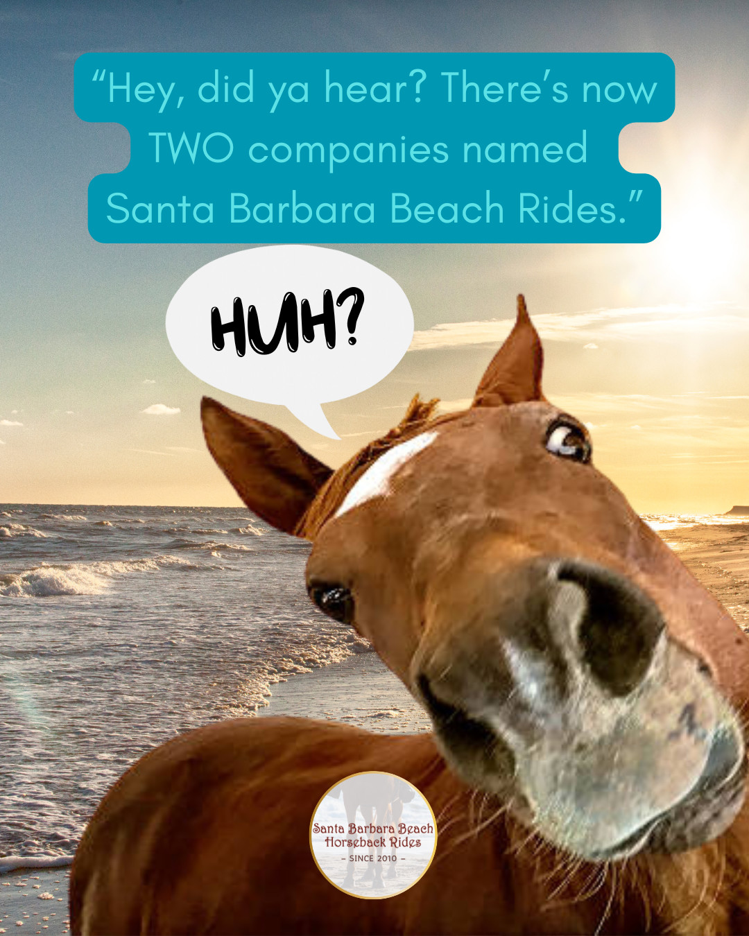 Santa Barbara Beach Rides | Summerland CA