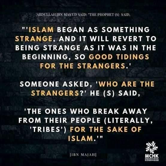 Muheez Balogun
