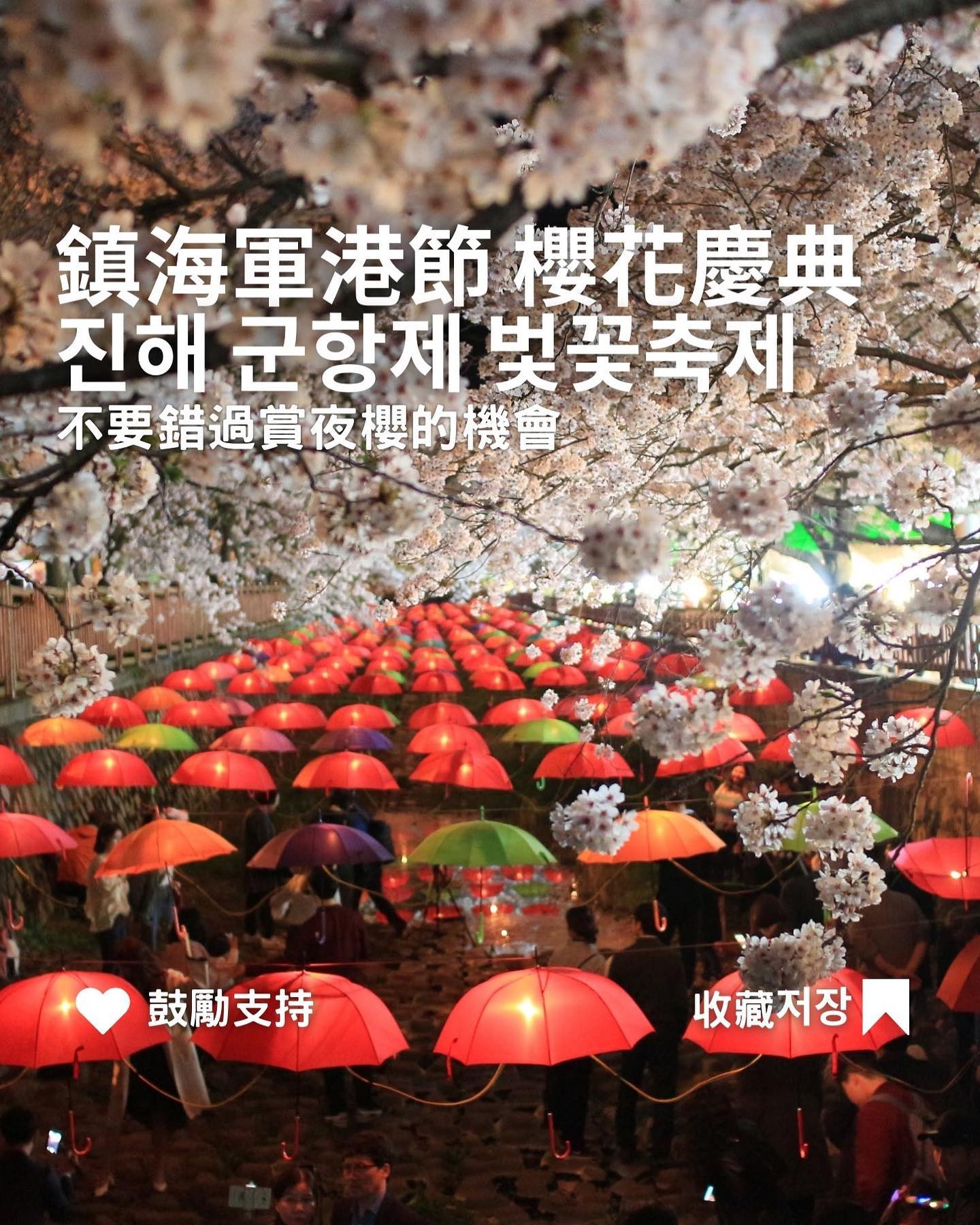 [韓國櫻花 鎮海餘左川여좌천夜櫻]... - 台灣安姨的韓國安居日常 대만 이모앤의 한국 life | Facebook