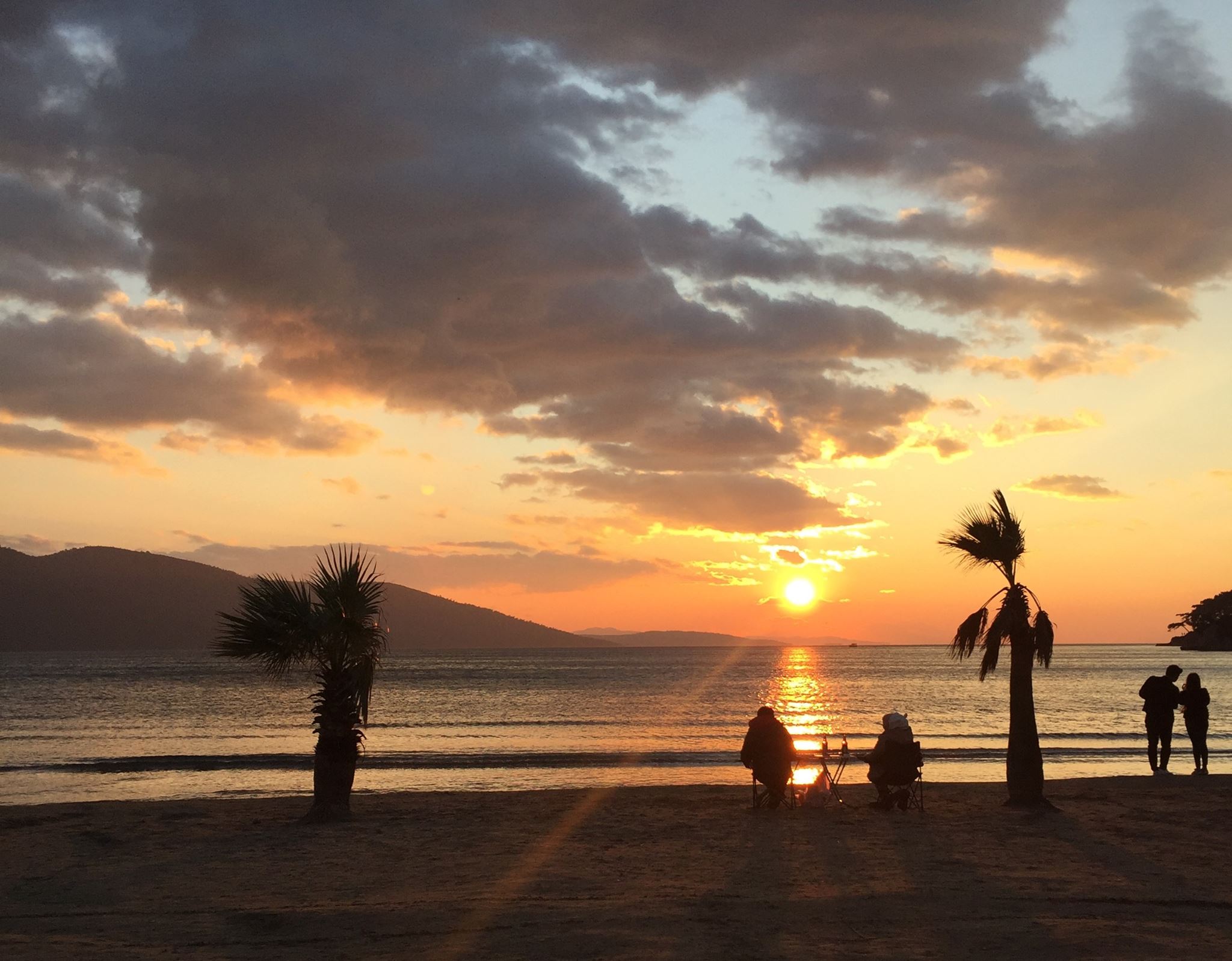 Muğla Musander