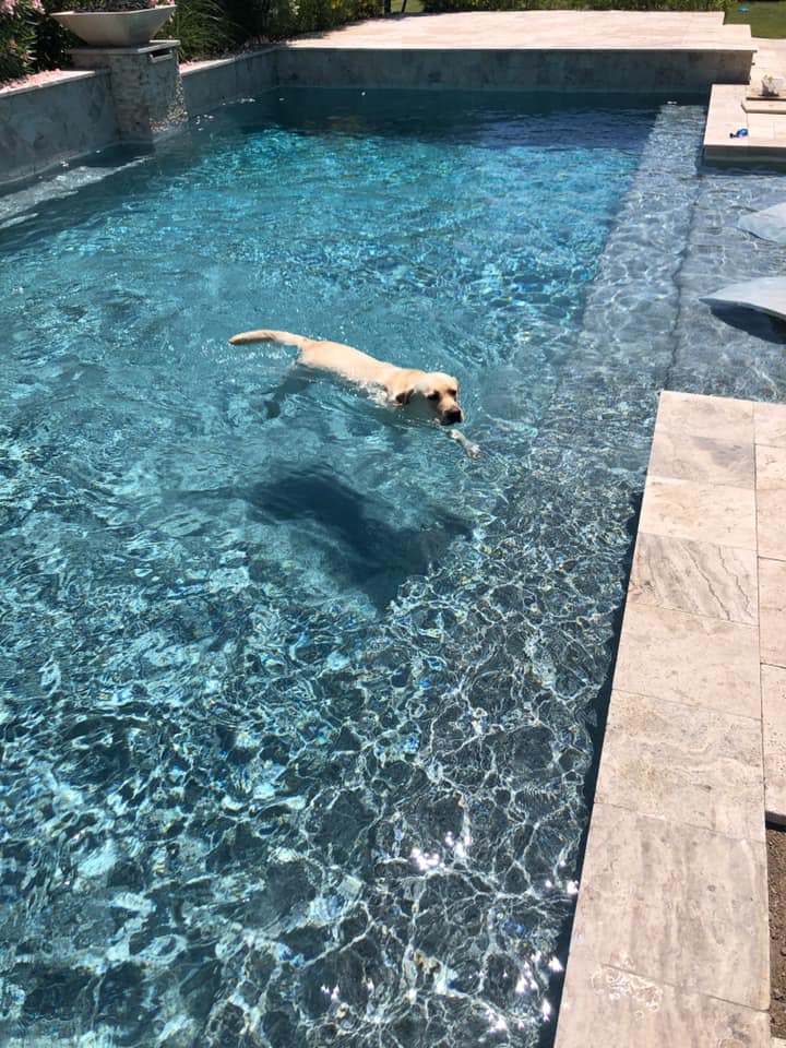 TC Pool Service