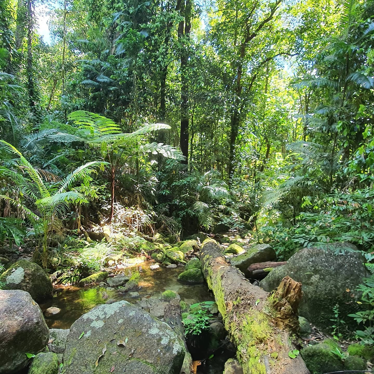 MCL Oceania | Cairns QLD