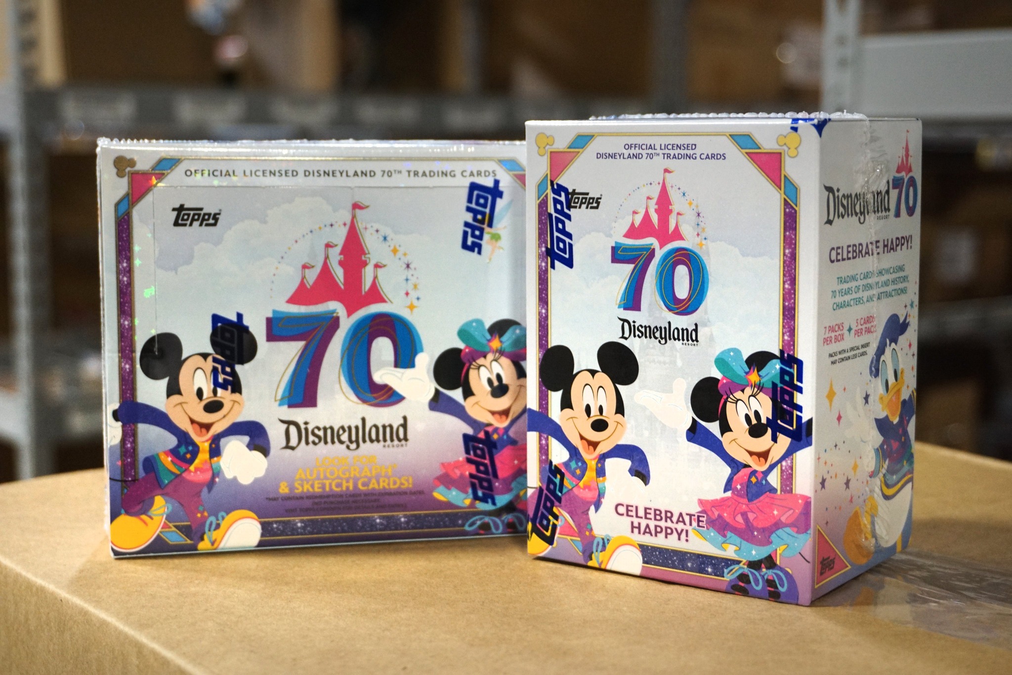 Disney 70th anniversary park exclusive hobby boxes hits