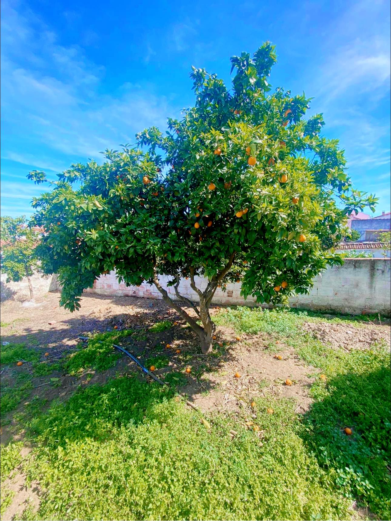 casa-encosta-da-coutada-moura