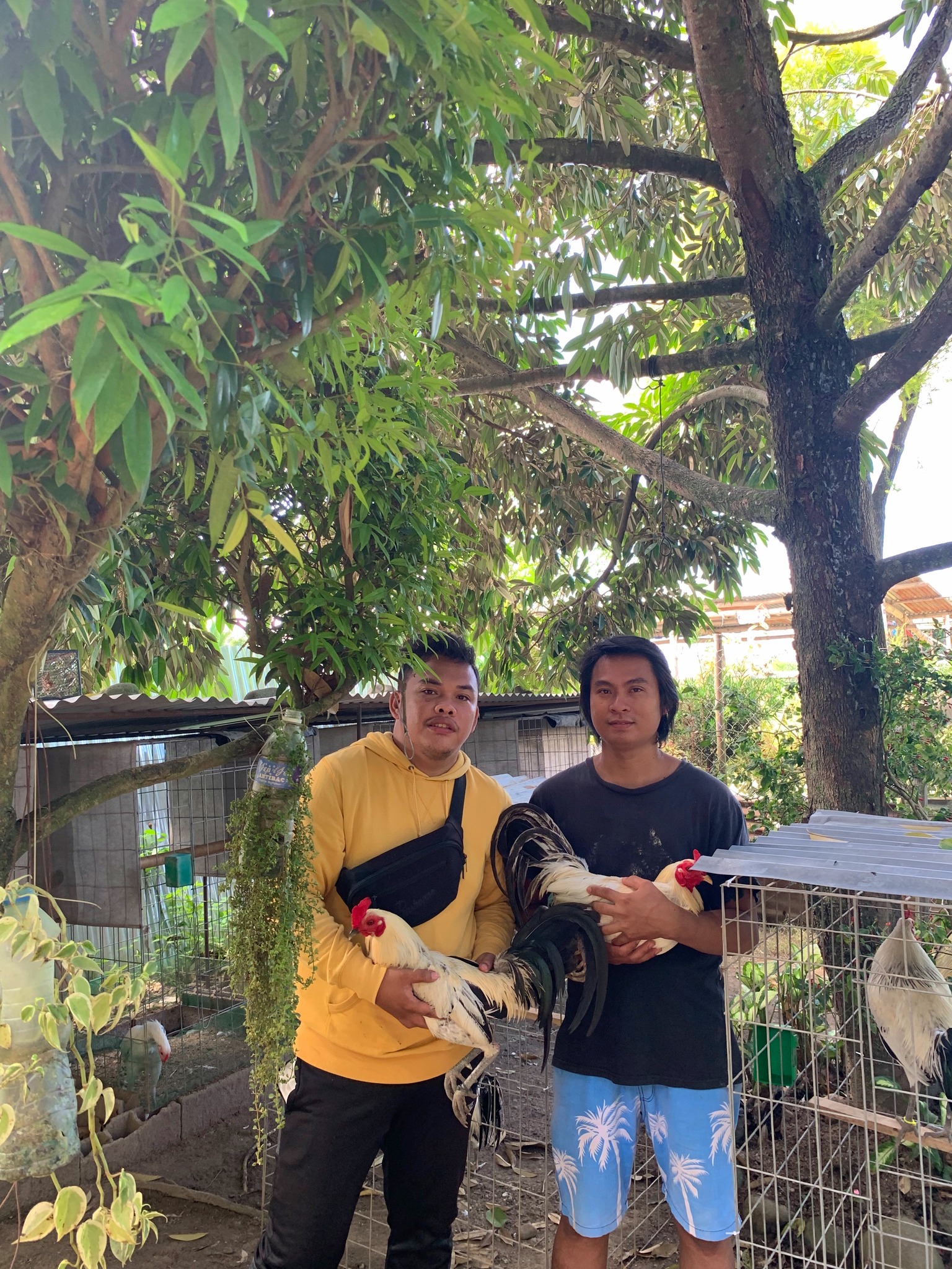 Sunday routine: Morning feeding sa buntag, fasting sa hapon. #sweater # ...
