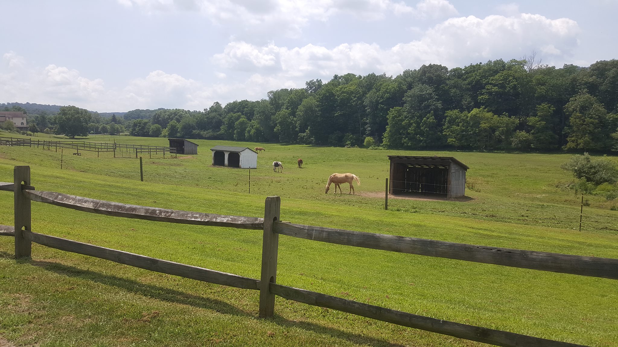 Spring House Stables Bedford PA Horse Boarding
