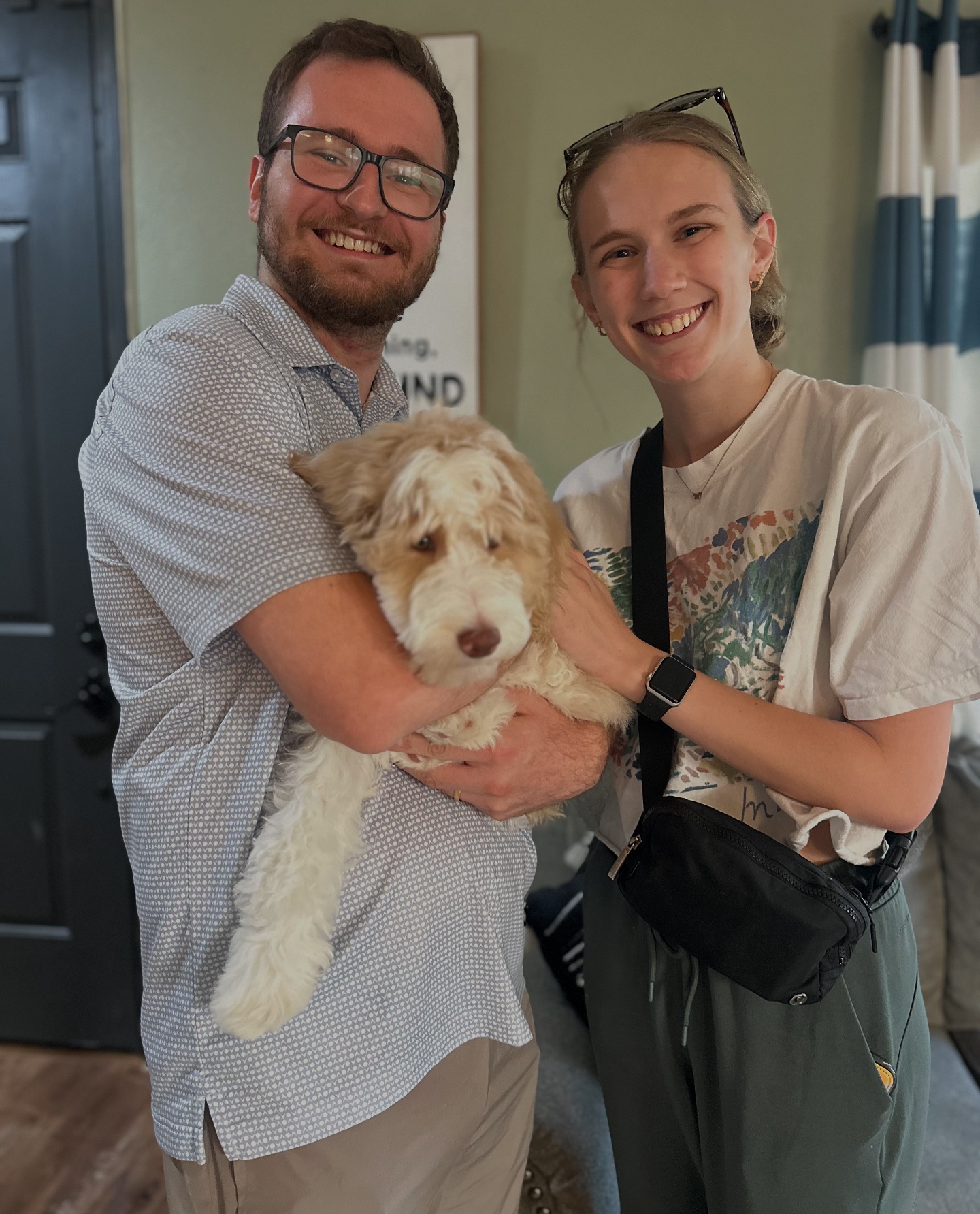 Phoenix Sheepadoodle... - Phoenix Sheepadoodle puppies