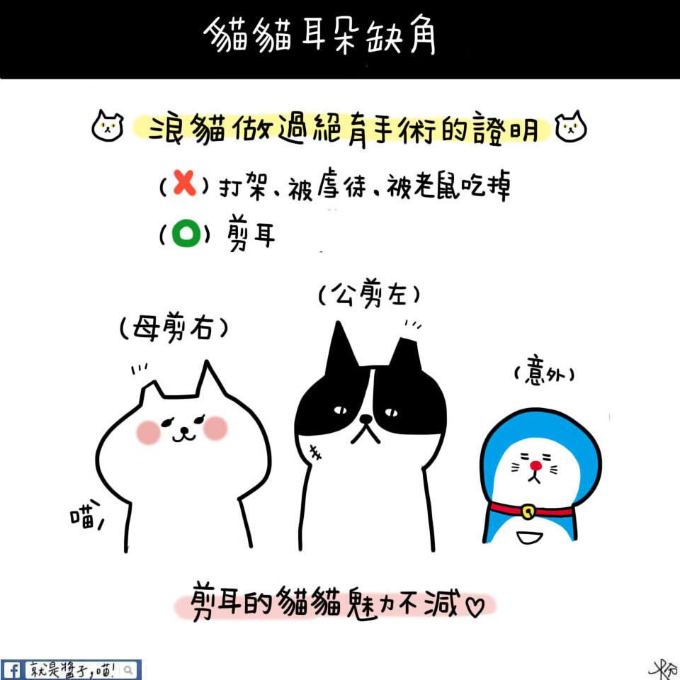 就是醬子 喵 Tnr Trap 捕捉 Neuter 結紮 剪耳 Release 放養 耳朵上的缺角可以讓醫生做辨識 避免浪浪們又多做一次絕育手術剖腹的大傷害 剪耳不會影響他們的眼神和表情 如果發現朋友的貓有被剪耳過 代表浪貓不用再流浪 已經被當主子伺候了 Facebook