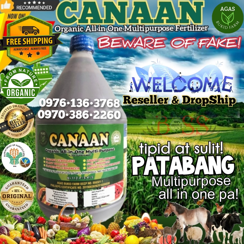 Canaan - Original Canaan BILI NA KASAKA! Ka-#Farmers MY DISCOUNT O FREE ...