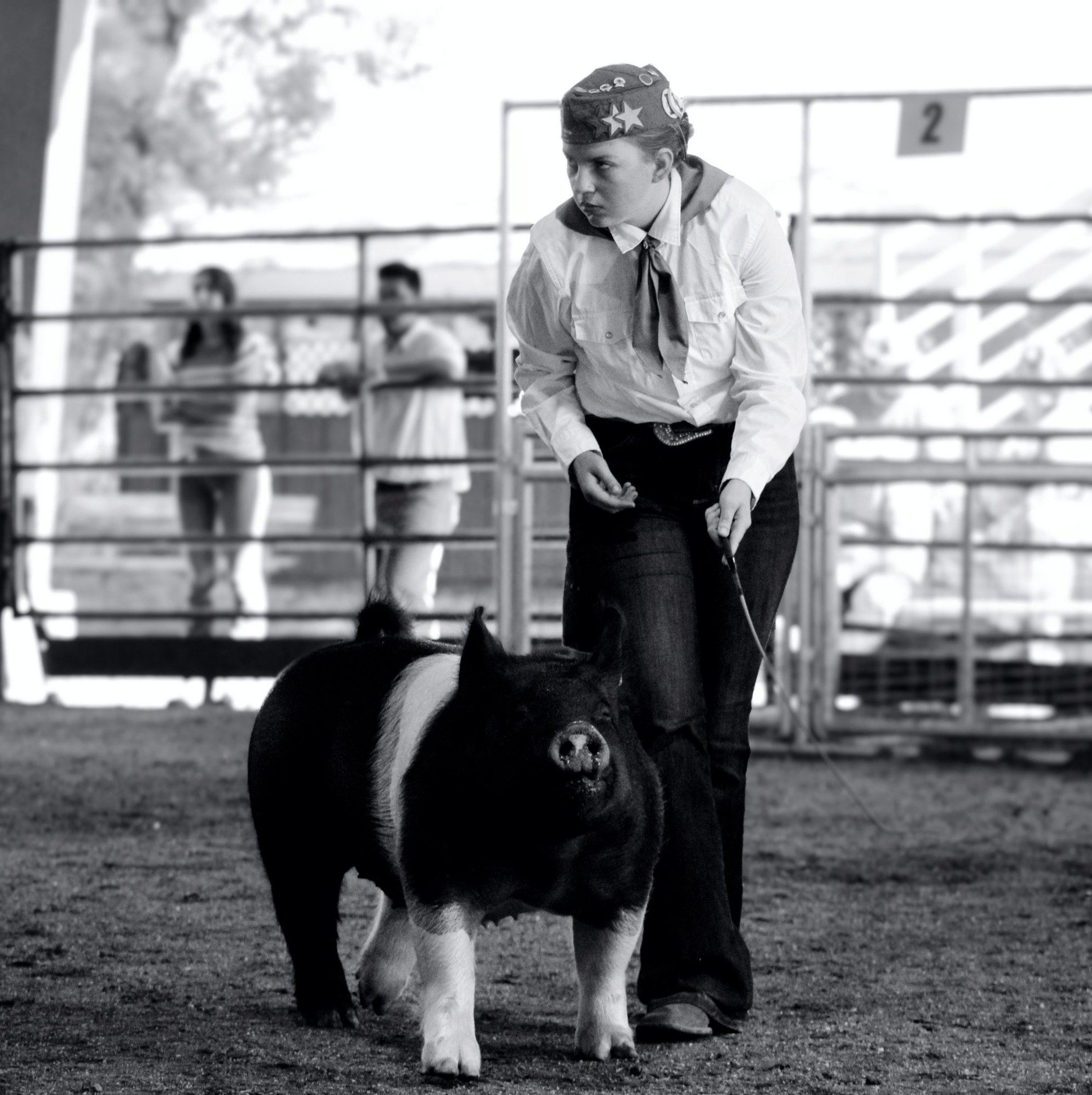 Twenty-one years we've been on this ranch without ever seeing a skunk ...