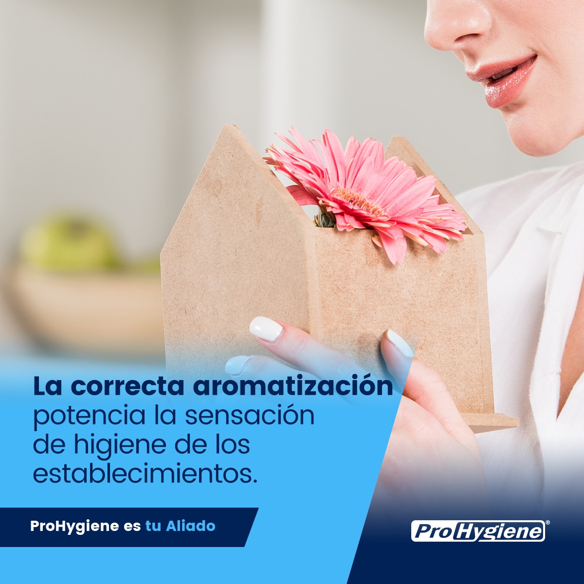 ProHygiene - 🤔 ¿POR QUÉ ES IMPORTANTE MANTENER UNA BUENA...