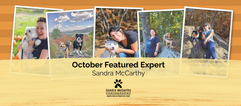 SAVE THE DATE! Our annual Answer... - Operation Delta Dog | Facebook