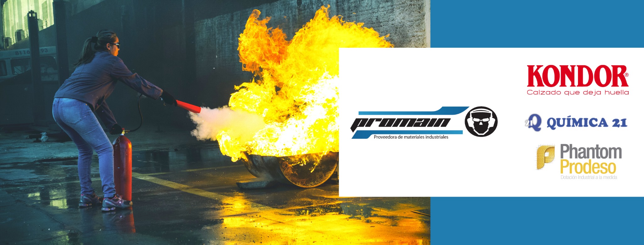 Promain Seguridad Industrial