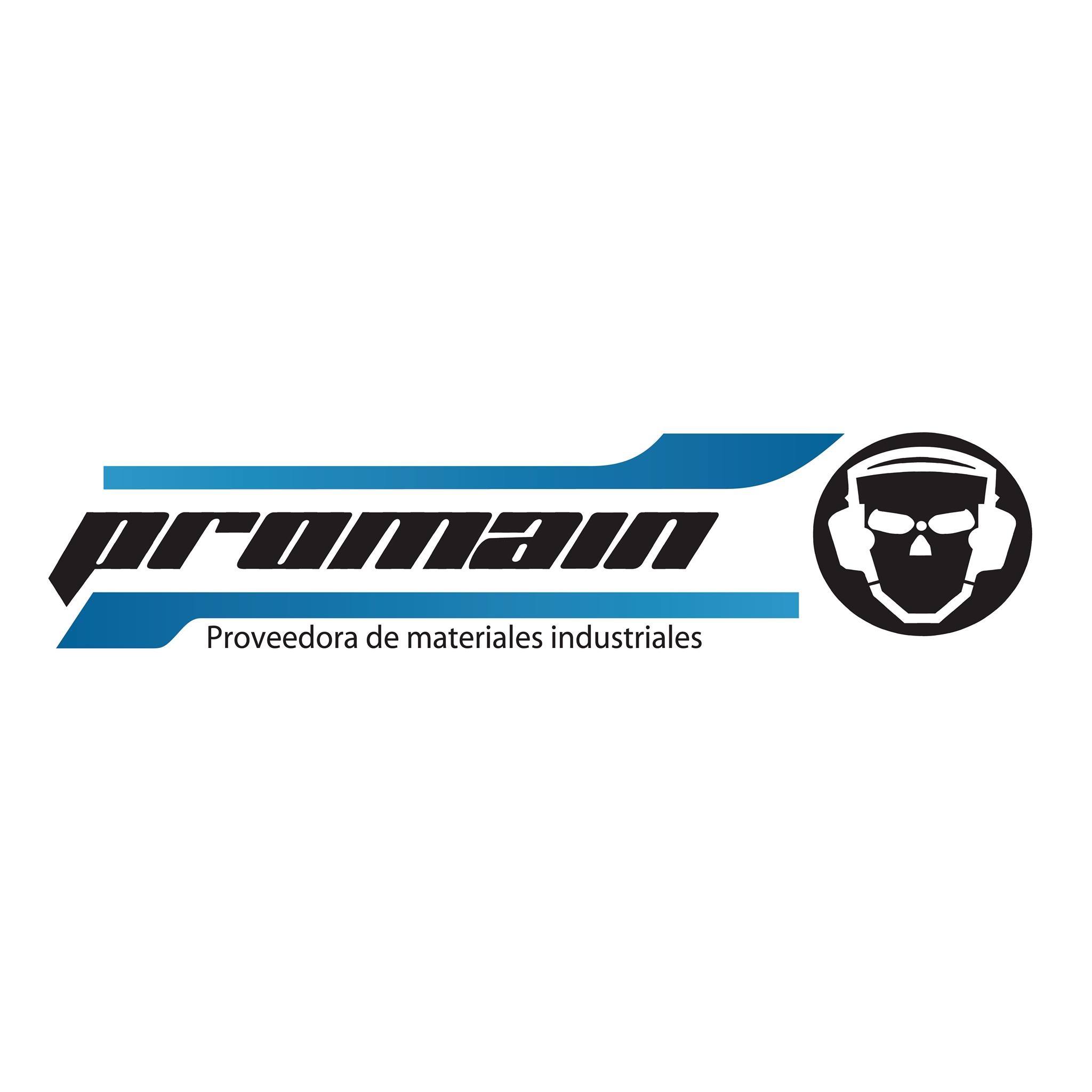 Promain Seguridad Industrial