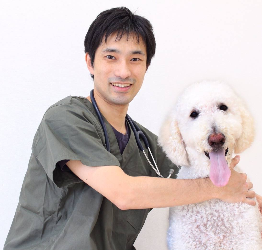 み ぎわ 動物 病院